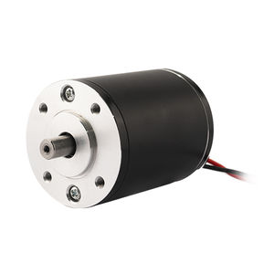 bürstenbehafteter Motor