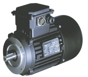 AC-Servomotor