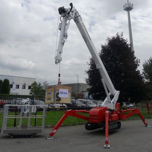 Mini-R-Kran / auf Raupen