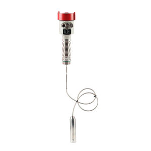 Radar-Tauchsonde 1