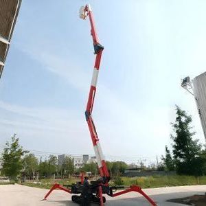 Hebebühnenspinne auf Raupen 1