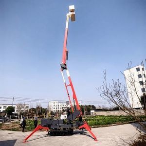 Hebebühnenspinne auf Raupen 1