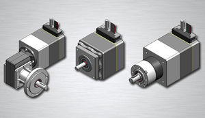 bürstenloser Servomotor