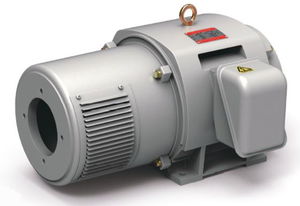 Induktionsmotor