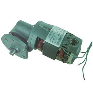 Schneckengetriebemotor