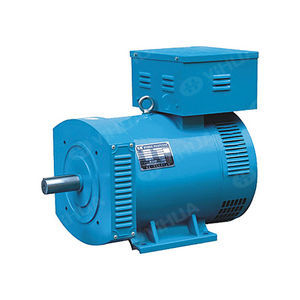 Lichtmaschine für Generator