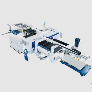 automatische Stanzmaschine 1
