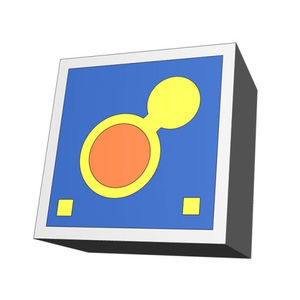 Sensor-Chip 1