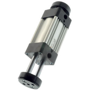 pneumatischer Zylinder / Doppel / Parallelkolbenstange / mit Magnetkolben