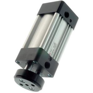 pneumatischer Zylinder / doppeltwirkend / Parallelkolbenstange / mit Magnetkolben