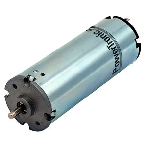 bürstenbehafteter Motor 1