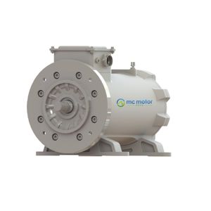 Synchronmotor