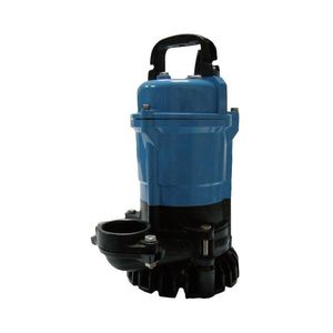 Wasserpumpe