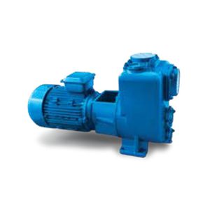 Wasserpumpe