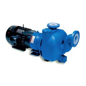 Kreiselpumpe 1