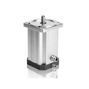 BLDC-Motor