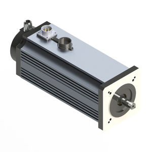 bürstenloser Motor