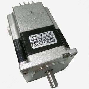 bürstenloser Servomotor