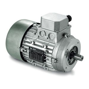 Elektromotor 230V für Drehspieß - Propan-Fischer GmbH & Co. KG