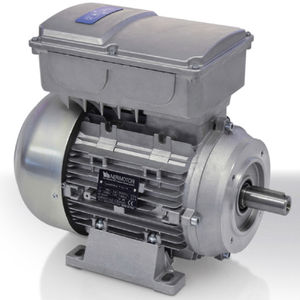 Motor mit integriertem Frequenzumrichter / einphasig / Asynchron / 220V