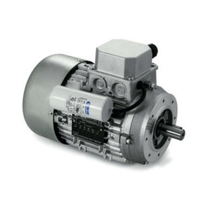 einphasiger Motor