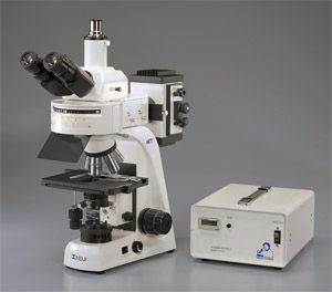 optisches Mikroskop 1