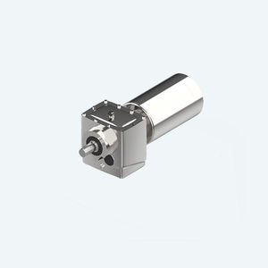 Edelstahl-Getriebemotor