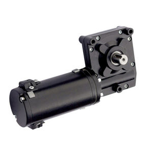 DC-Getriebemotor 1
