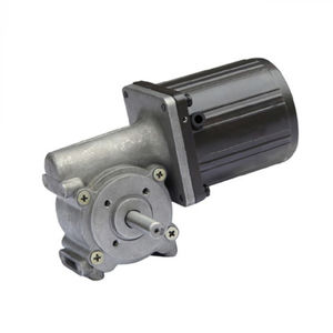 AC-Getriebemotor 1