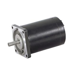 bürstenbehafteter Motor 1