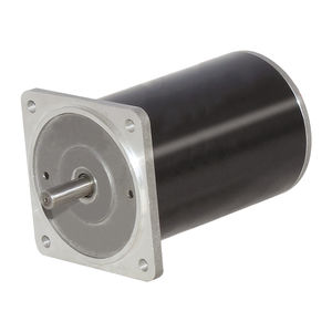 bürstenbehafteter Motor 1
