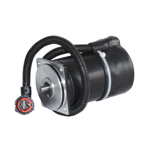 Motor für Pumpen / DC / bürstenbehaftet / 12V