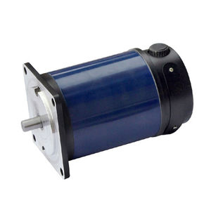 bürstenbehafteter Motor 1