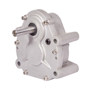 Stirnradgetriebemotor 1