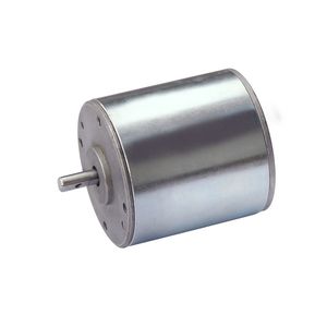 bürstenbehafteter Motor 1