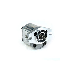 hydraulische Zahnradpumpe 1