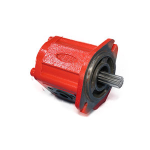 hydraulische Zahnradpumpe 1