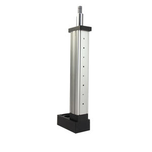 elektrischer Zylinder / Doppel / Kolben / Servomotoren