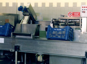 Zitrusfrüchte-Schälmaschine
