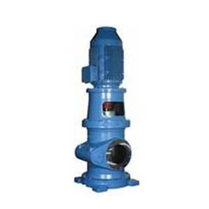 Dreispindelschraubenpumpe 1