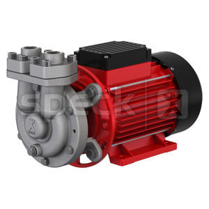 Pumpe / regenerative Turbine 1