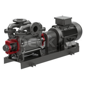 Flüssigkeitsringpumpe 1