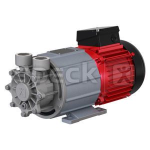 Pumpe / regenerative Turbine 1