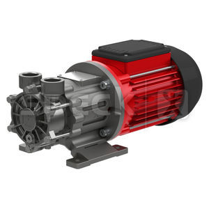 Pumpe / regenerative Turbine 1