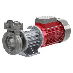Pumpe / regenerative Turbine 1