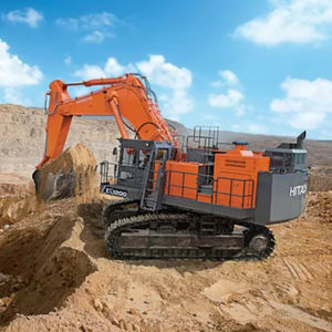 großformatiger Bagger 1