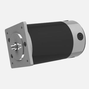 bürstenbehafteter Motor 1
