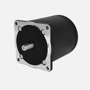 Hybrid-Schritt-Motor 1