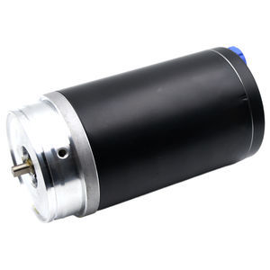 bürstenbehafteter Motor 1
