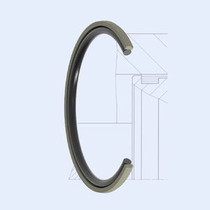 O-Ring-Dichtung 1